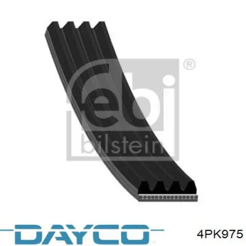 4PK975 Dayco