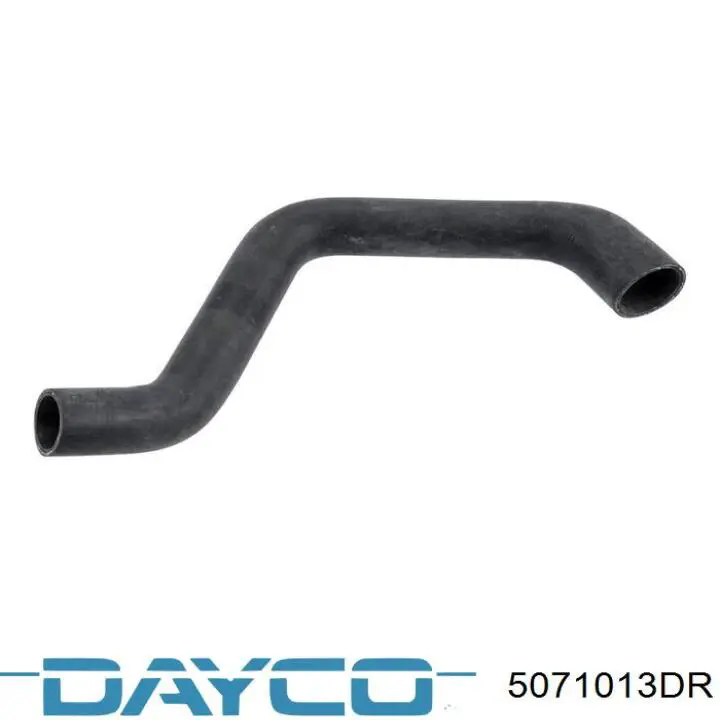Купить 5071013DR Dayco Ремень генератора