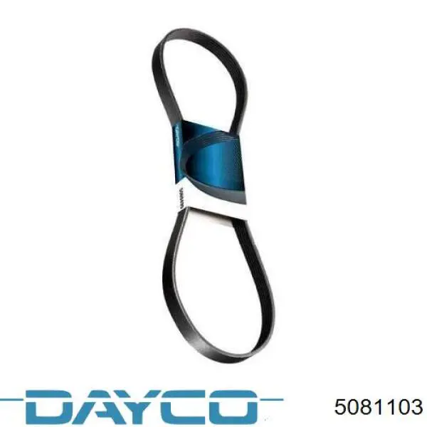  5081103 Dayco