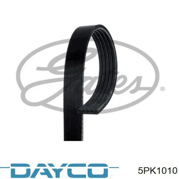 Клиновый ремень Dayco 5PK1010 цена, от 6.33 USD