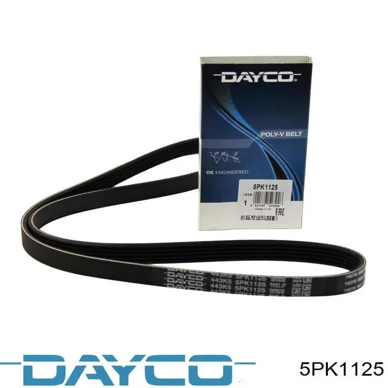 Купить 5PK1125 Dayco Ремень генератора