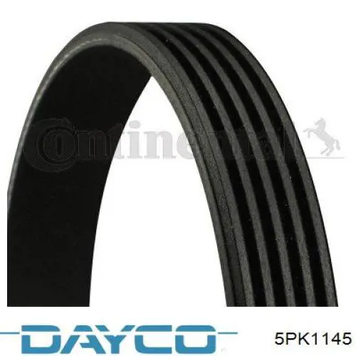 5PK1145 Dayco