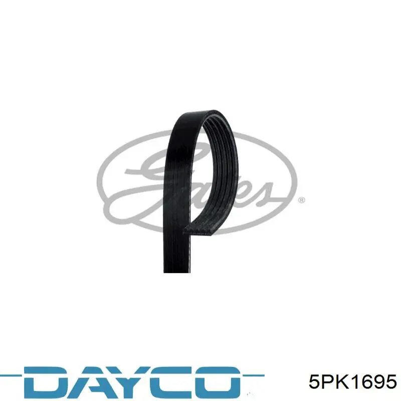 5PK1695 Dayco