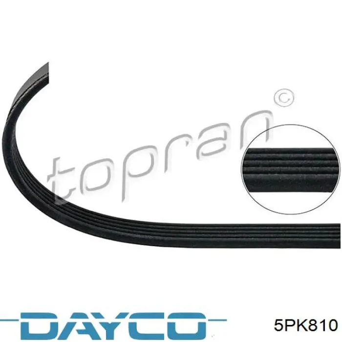 Купить 5PK810 Dayco Ремень генератора