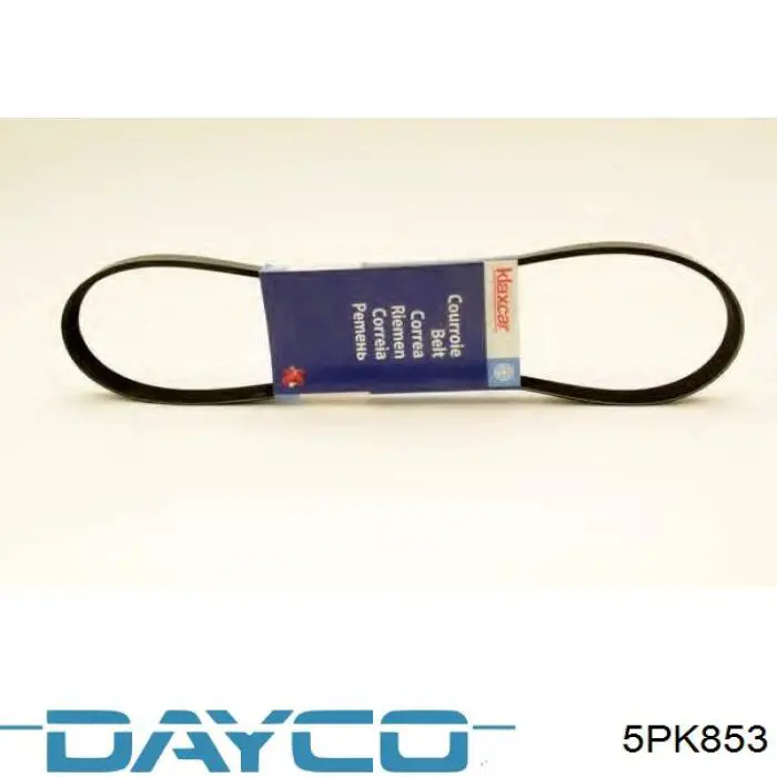 5PK853 Dayco