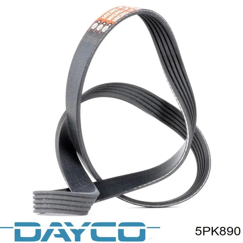 5PK890 Dayco