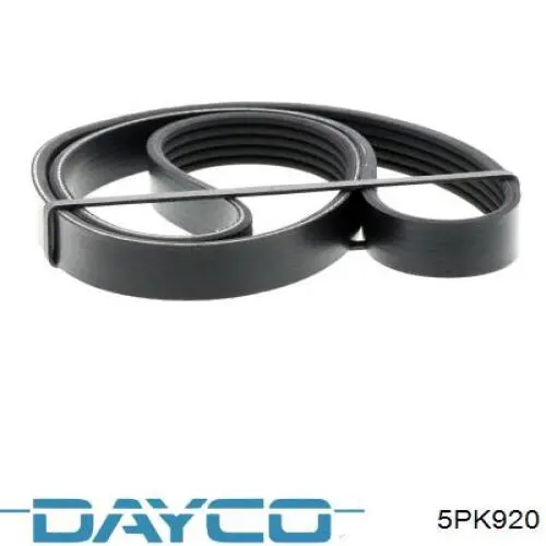 5PK920 Dayco Поликлиновый ремень