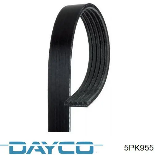 5PK955 Dayco