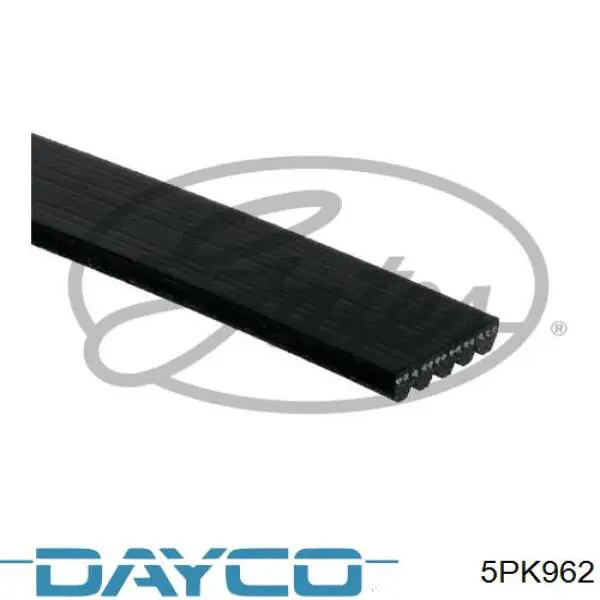 Купить 5PK962 Dayco Ремень генератора