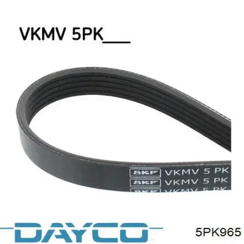5PK965 Dayco Поликлиновый ремень