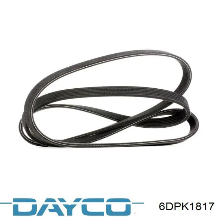 Correa trapezoidal 6DPK1817 Dayco