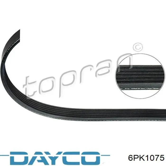 Клиновый ремень Dayco 6PK1075 цена, от 11.30 USD
