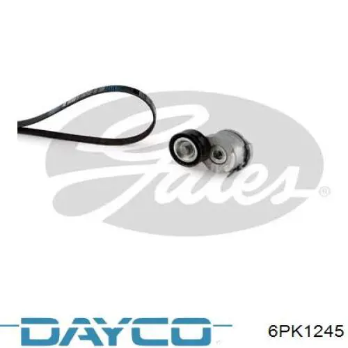 Купить 6PK1245 Dayco Ремень генератора