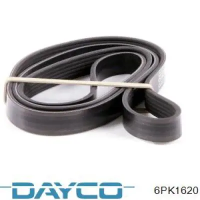 6PK1620 Dayco