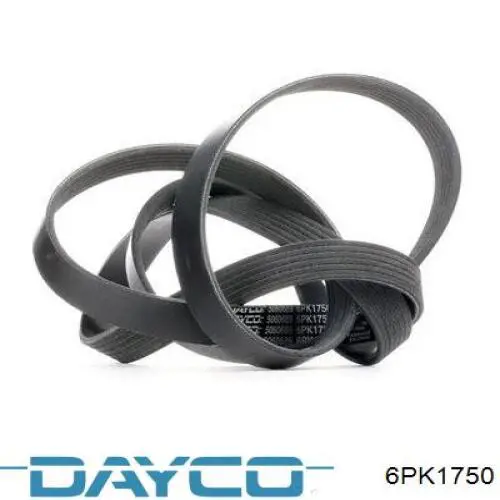 6PK1750 Dayco