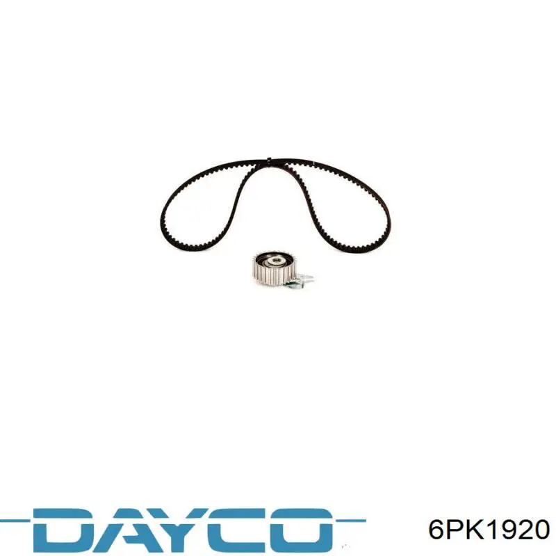 Купить 6PK1920 Dayco Ремень генератора