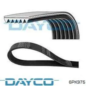 6PK975 Dayco