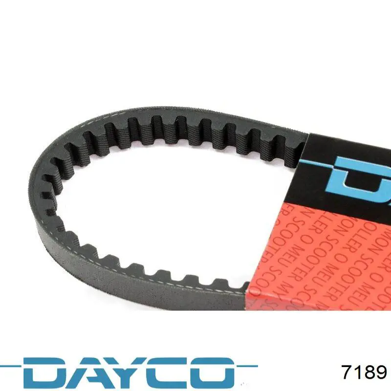  7189 Dayco