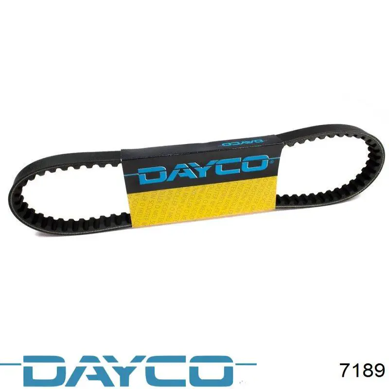 7189 Dayco 