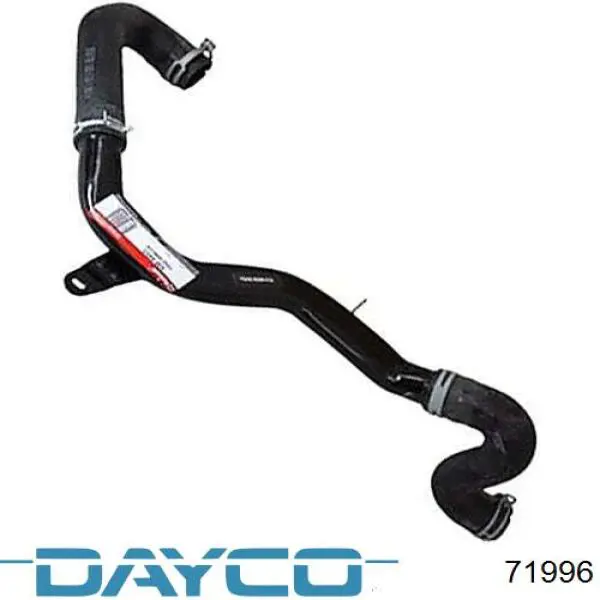  71996 Dayco