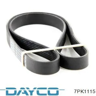 7PK1115 Dayco