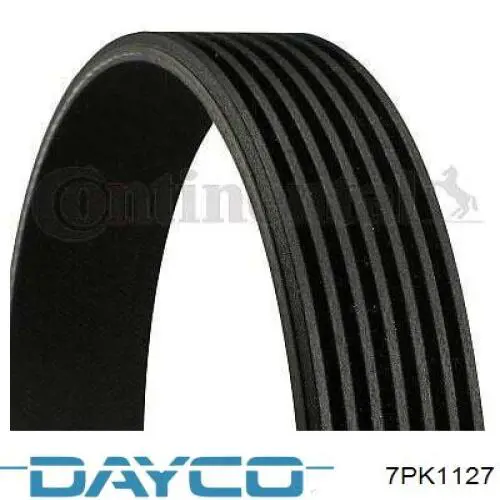 Клиновый ремень Dayco 7PK1127 цена, от 12.56 USD