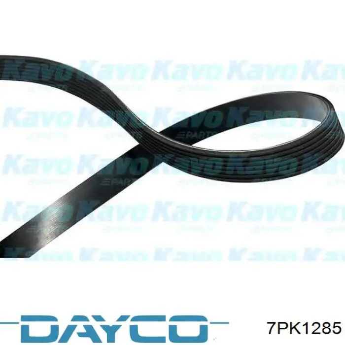 Купить 7PK1285 Dayco Ремень генератора