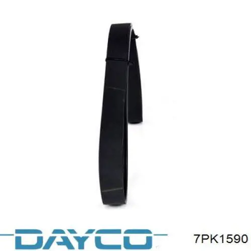 Клиновый ремень Dayco 7PK1590 цена, от 16.09 USD