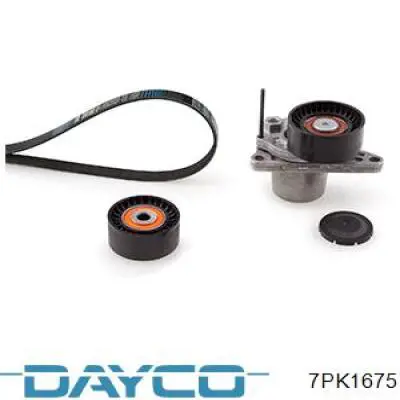 7PK1675 Dayco