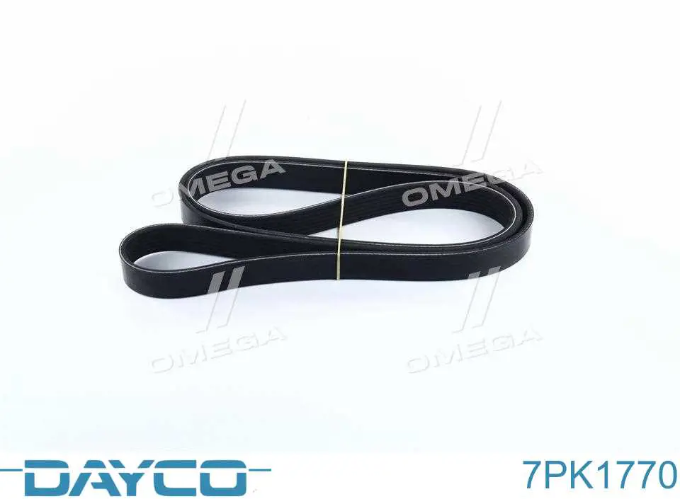 Клиновый ремень Dayco 7PK1770 цена, от 16.14 USD