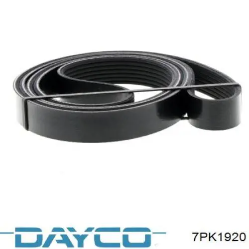 Купить 7PK1920 Dayco Ремень генератора