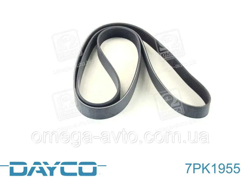 Клиновый ремень Dayco 7PK1955 цена, от 16.14 USD