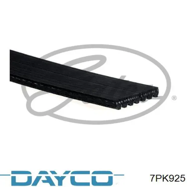 7PK925 Dayco