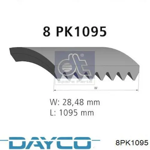 Клиновый ремень Dayco 8PK1095 цена, от 11.28 USD