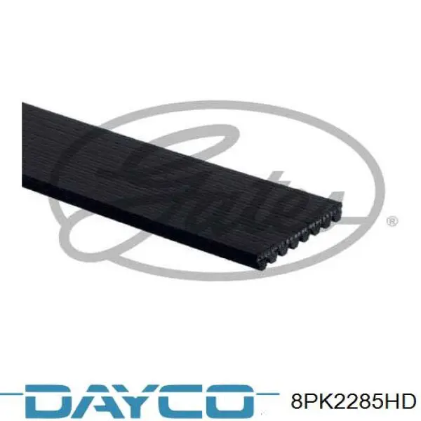 Купить 8PK2285HD Dayco Ремень генератора