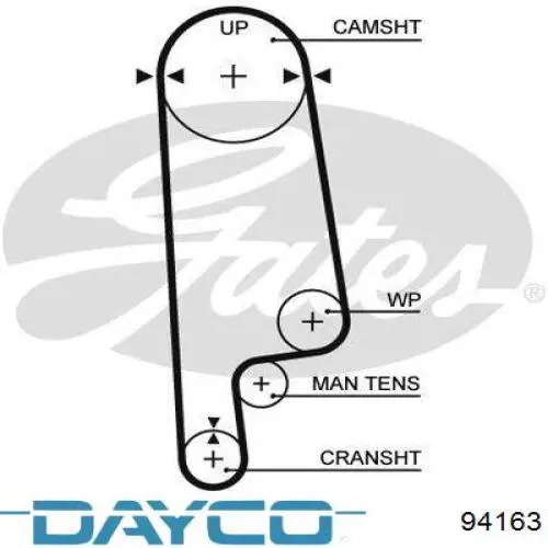 Correa distribucion 94163 Dayco