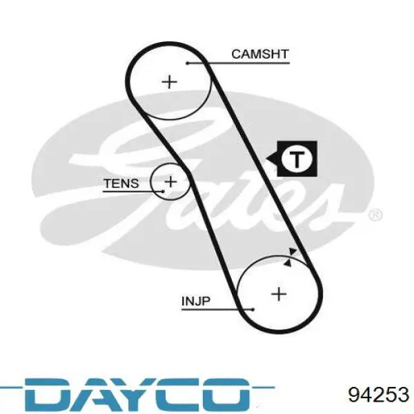 Correa de distribución 94253 Dayco