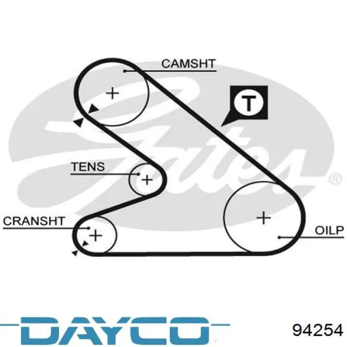 Correa distribucion 94254 Dayco