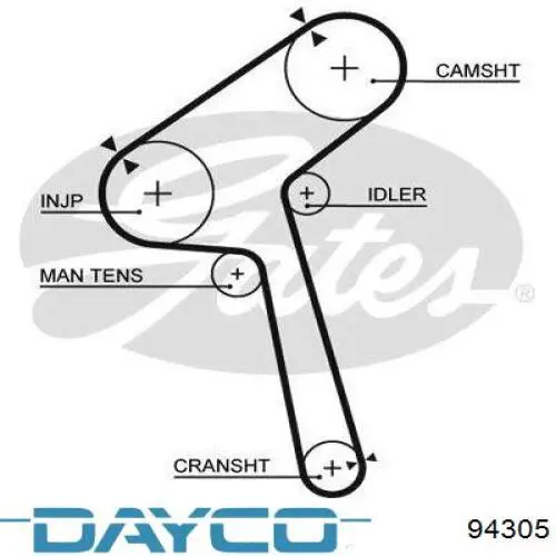 Correa distribucion 94305 Dayco