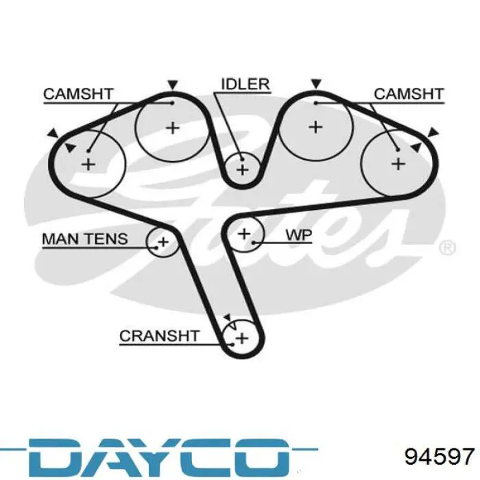 Correa distribucion 94597 Dayco