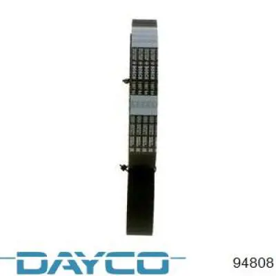 Купить 94808 Dayco Ремень газораспределительного механизма