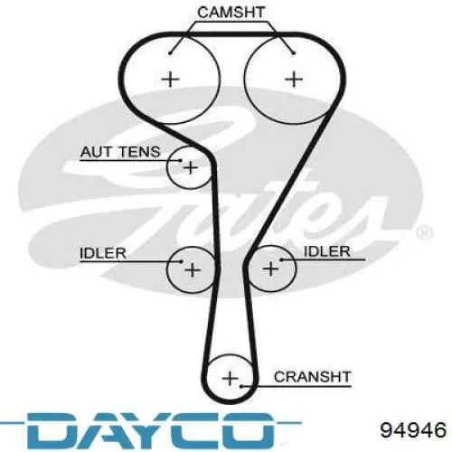 Correa distribucion 94946 Dayco