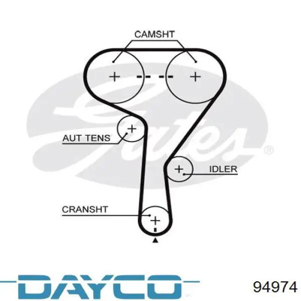 Ремень ГРМ 94974 Dayco