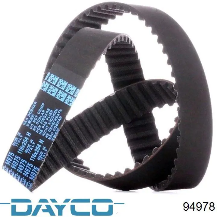 94978 Dayco