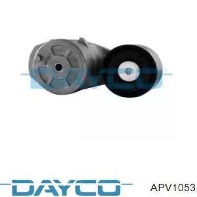 Натяжитель приводного ремня DAYAPV1053 Dayco