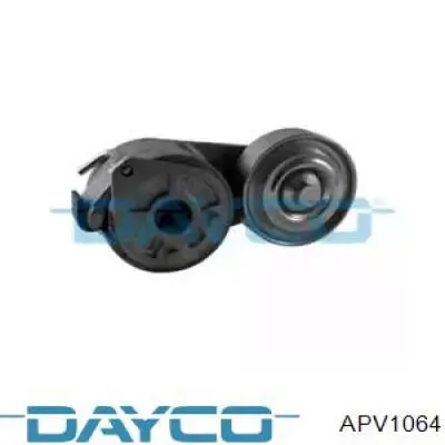  APV1064 Dayco