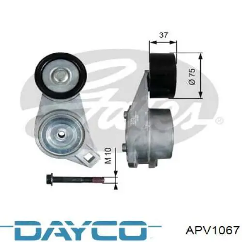 Натяжитель приводного ремня APV1067 Dayco