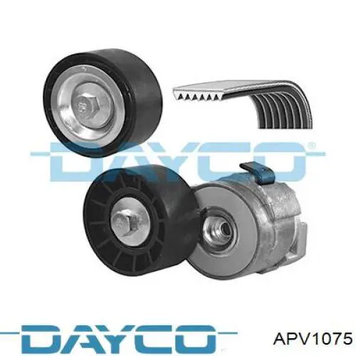 Купить APV1075 Dayco Натяжитель приводного ремня