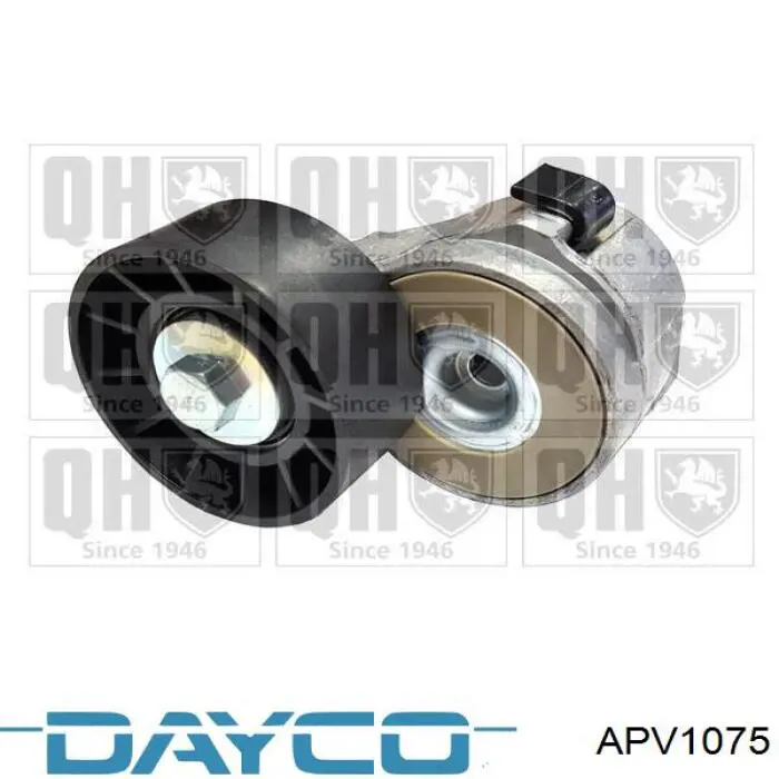 Натяжитель приводного ремня APV1075 Dayco