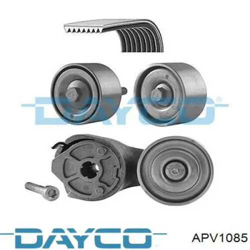 APV1085 Dayco